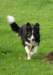 caya8monthsold6_small.jpg