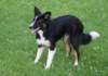 caya8monthsold7_small.jpg