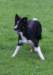 caya8monthsold8_small.jpg