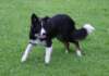 caya8monthsold9_small.jpg