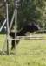 caya9monthsold11_small.jpg