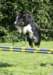 caya9monthsold12_small.jpg