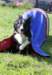 caya9monthsold19_small.jpg