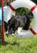 caya9monthsold20_small.jpg