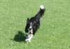 caya9monthsold2_small.jpg