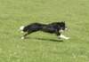 caya9monthsold3_small.jpg