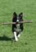 caya9monthsold4_small.jpg
