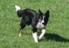 caya9monthsold_small.jpg