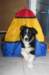 fairstorm8wksold_small.jpg