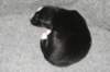 fairstormday132_small.jpg