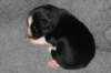 fairstormday133_small.jpg