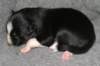 fairstormday134_small.jpg