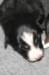 fairstormday13_small.jpg