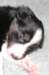 fairstormday232_small.jpg