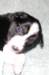 fairstormday23_small.jpg