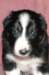 fairstormday282_small.jpg