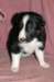 fairstormday283_small.jpg