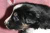 fairstormday284_small.jpg