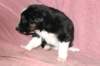 fairstormday285_small.jpg
