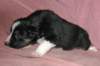fairstormday286_small.jpg