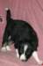 fairstormday28_small.jpg