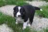 fairstormday292_small.jpg