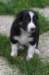 fairstormday293_small.jpg