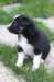 fairstormday294_small.jpg
