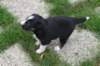 fairstormday29_small.jpg