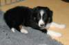 fairstormday372_small.jpg