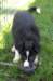 fairstormday442_small.jpg