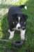 fairstormday443_small.jpg