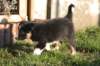 fairstormday444_small.jpg