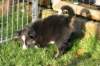 fairstormday445_small.jpg