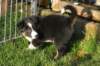 fairstormday446_small.jpg