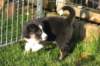 fairstormday447_small.jpg