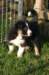 fairstormday448_small.jpg