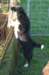 fairstormday449_small.jpg