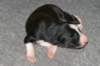 fairstormday84_small.jpg