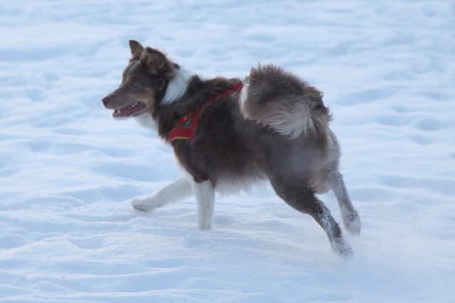 a02honey9monthsold.jpg