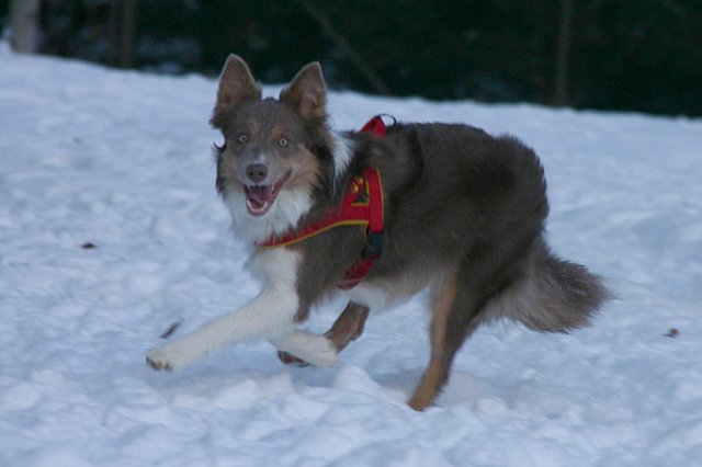 a02honey9monthsold2.jpg