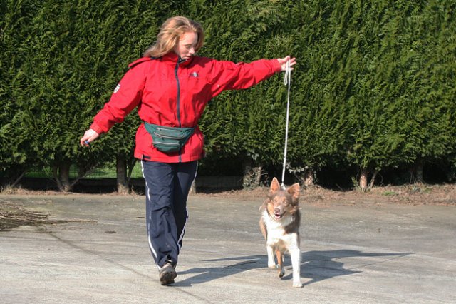 a03honey11monthsoldshowtraining.jpg