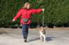 a03honey11monthsoldshowtraining_small.jpg