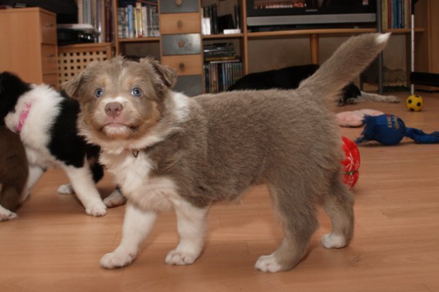 a03honey39daysold.jpg