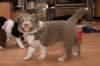 a03honey39daysold_small.jpg