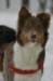 a03honey9monthsold3_small.jpg