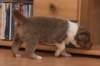 a04honey30daysold_small.jpg