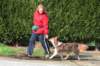 a05honey11monthsoldshowtraining_small.jpg