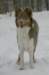 a05honey9monthsold3_small.jpg