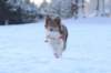 a05honey9monthsold_small.jpg